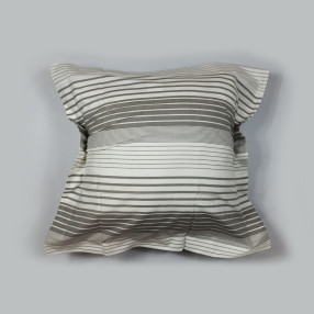 Декоративна калъфка Caseiv1