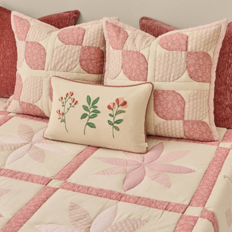 Шалте Ritpatcol