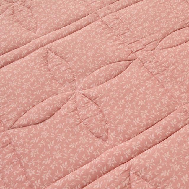 Шалте Ritpatcol